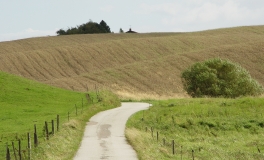 Skovbrøndvej