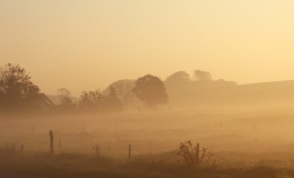 Morgendis over søengen