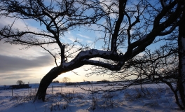 Kirketornene