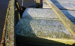 DSC00121