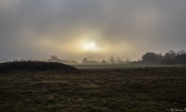 mosen_2