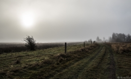 mosen_3