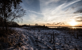 mosen_1