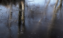 mosen_11