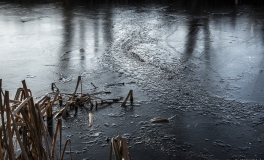 mosen_12