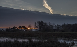 mosen_2