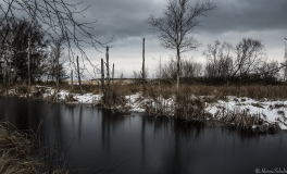 mosen_6